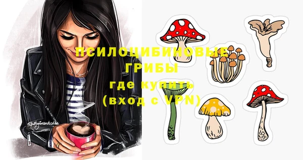бошки Абаза