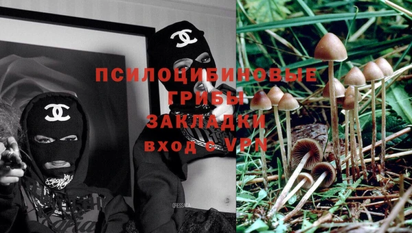 бошки Абаза